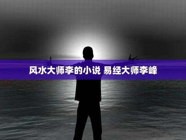 风水大师李的小说 易经大师李峰