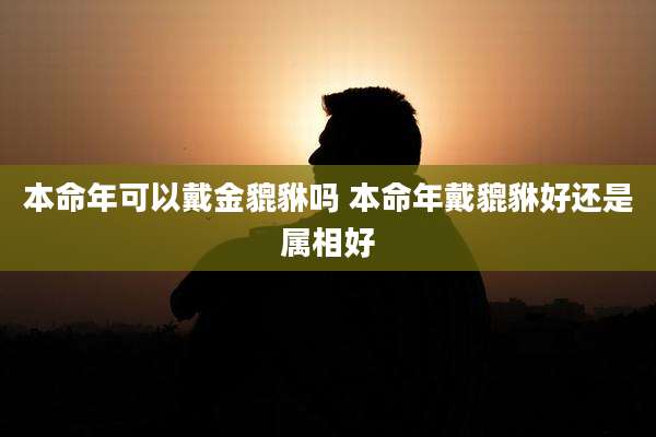 本命年可以戴金貔貅吗 本命年戴貔貅好还是属相好