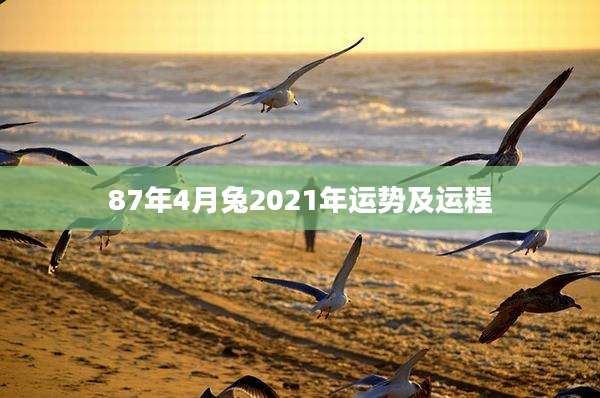 87年4月兔2021年运势及运程