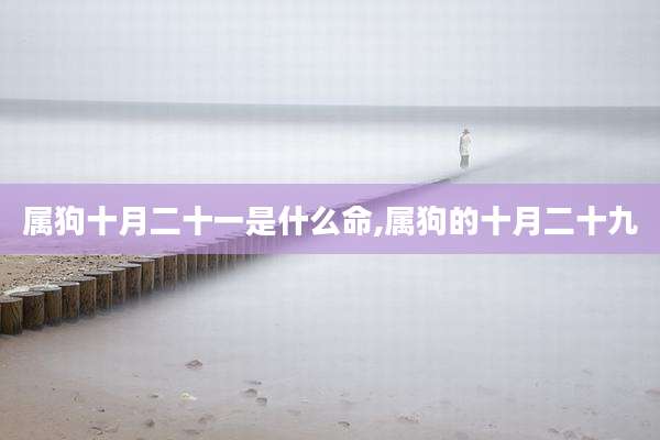 属狗十月二十一是什么命,属狗的十月二十九