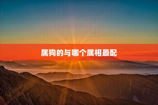 属狗的与哪个属相最配