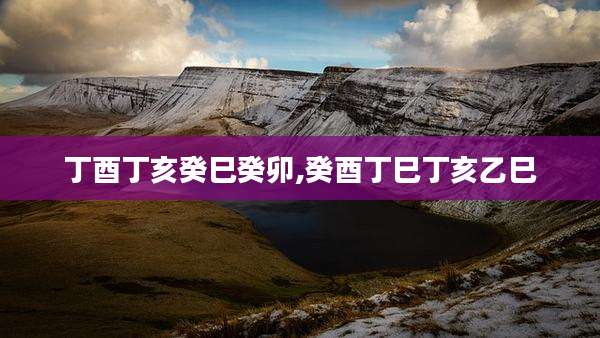 丁酉丁亥癸巳癸卯,癸酉丁巳丁亥乙巳