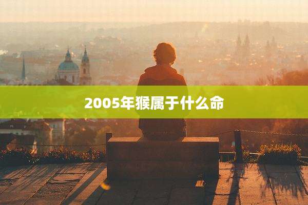 2005年猴属于什么命