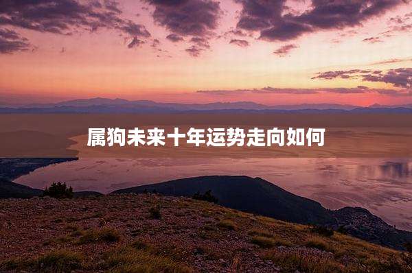属狗未来十年运势走向如何