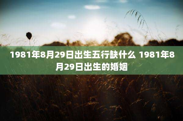 1981年8月29日出生五行缺什么 1981年8月29日出生的婚姻