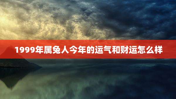 1999年属兔人今年的运气和财运怎么样
