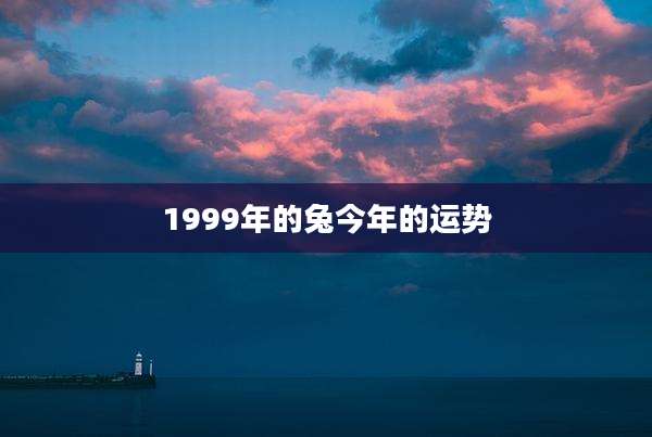1999年的兔今年的运势