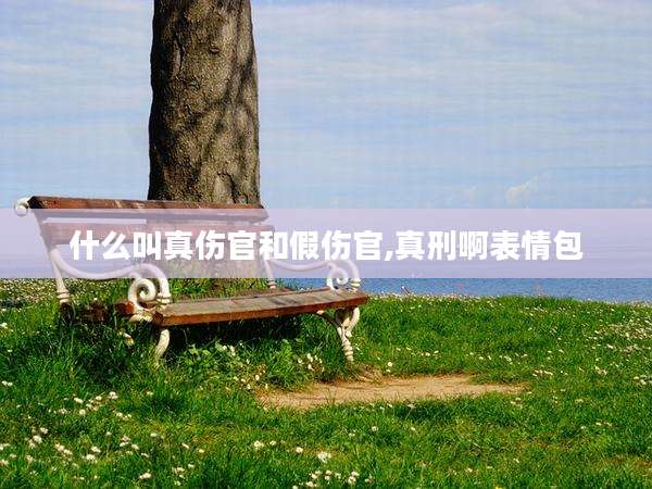 什么叫真伤官和假伤官,真刑啊表情包