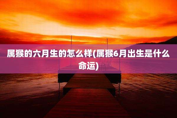 属猴的六月生的怎么样(属猴6月出生是什么命运)