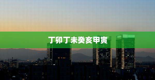 丁卯丁未癸亥甲寅