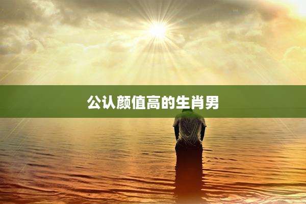 公认颜值高的生肖男