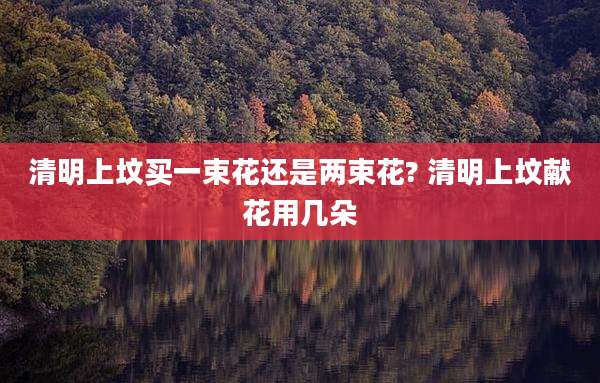 清明上坟买一束花还是两束花? 清明上坟献花用几朵