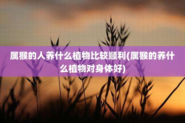属猴的人养什么植物比较顺利(属猴的养什么植物对身体好)