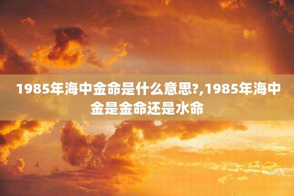 1985年海中金命是什么意思?,1985年海中金是金命还是水命