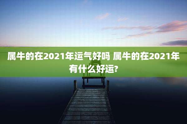 属牛的在2021年运气好吗 属牛的在2021年有什么好运?