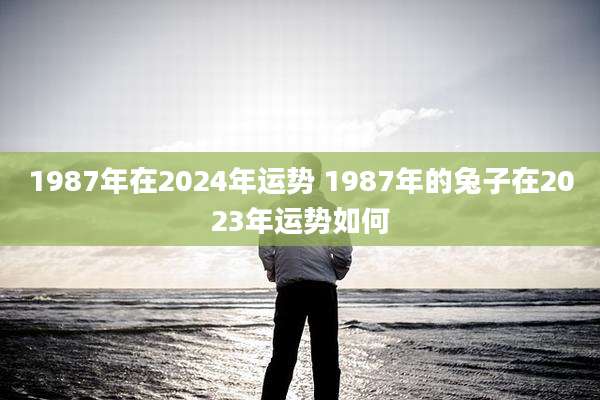 1987年在2024年运势 1987年的兔子在2023年运势如何