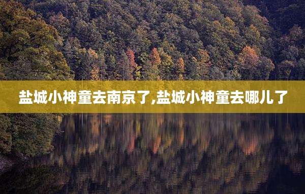 盐城小神童去南京了,盐城小神童去哪儿了