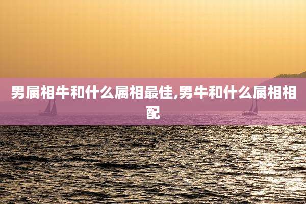 男属相牛和什么属相最佳,男牛和什么属相相配
