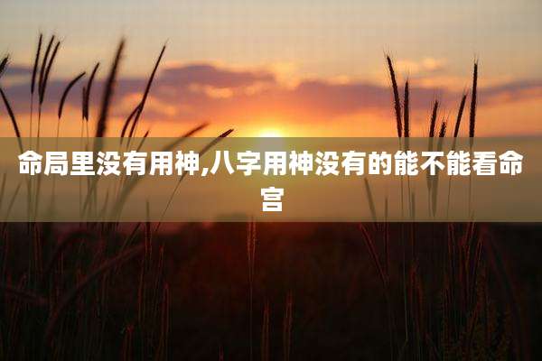 命局里没有用神,八字用神没有的能不能看命宫