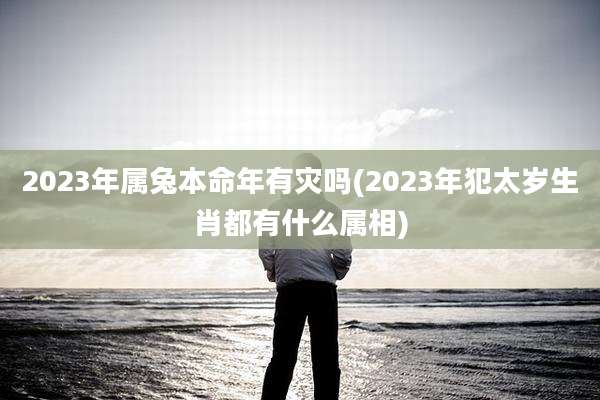 2023年属兔本命年有灾吗(2023年犯太岁生肖都有什么属相)