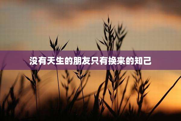 没有天生的朋友只有换来的知己