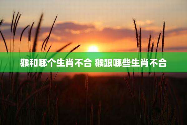 猴和哪个生肖不合 猴跟哪些生肖不合