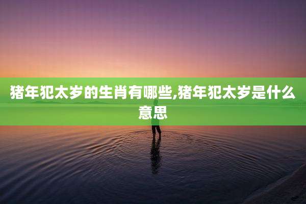 猪年犯太岁的生肖有哪些,猪年犯太岁是什么意思