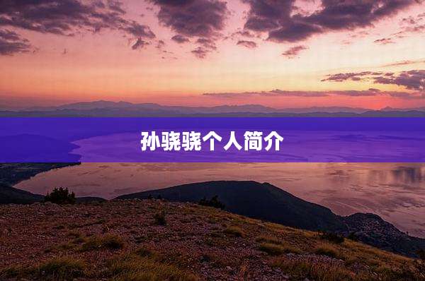 孙骁骁个人简介