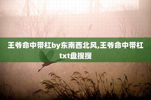 王爷命中带杠by东南西北风,王爷命中带杠txt盘搜搜
