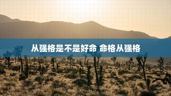 从强格是不是好命 命格从强格
