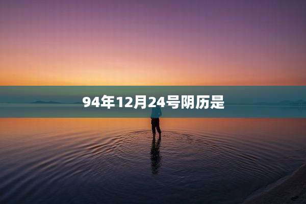 94年12月24号阴历是