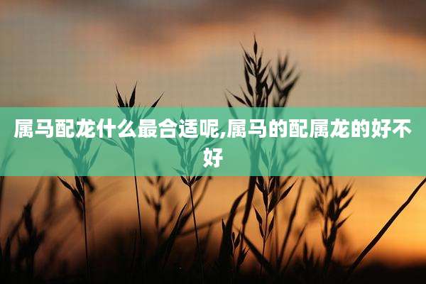属马配龙什么最合适呢,属马的配属龙的好不好