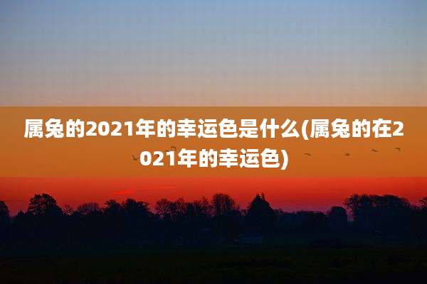 属兔的2021年的幸运色是什么(属兔的在2021年的幸运色)