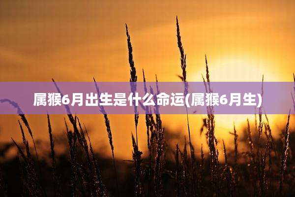 属猴6月出生是什么命运(属猴6月生)