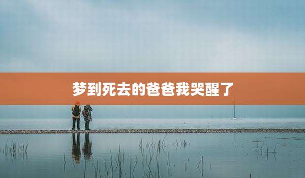 梦到死去的爸爸我哭醒了