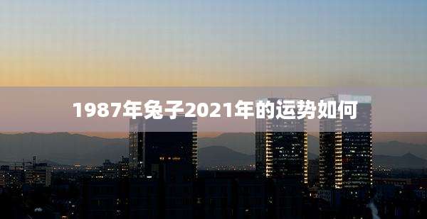1987年兔子2021年的运势如何