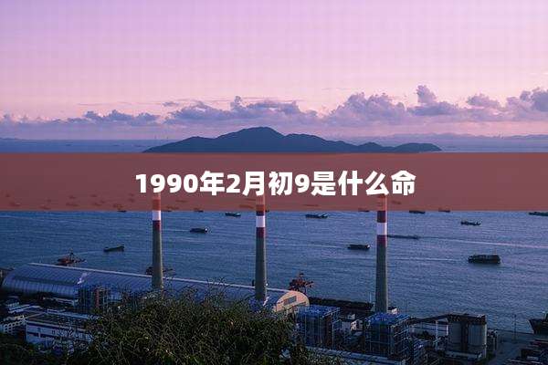 1990年2月初9是什么命