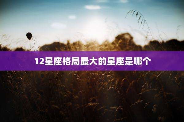 12星座格局最大的星座是哪个