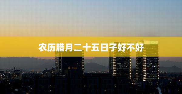 农历腊月二十五日子好不好