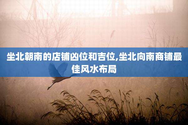坐北朝南的店铺凶位和吉位,坐北向南商铺最佳风水布局