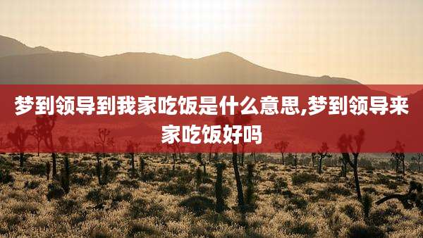 梦到领导到我家吃饭是什么意思,梦到领导来家吃饭好吗