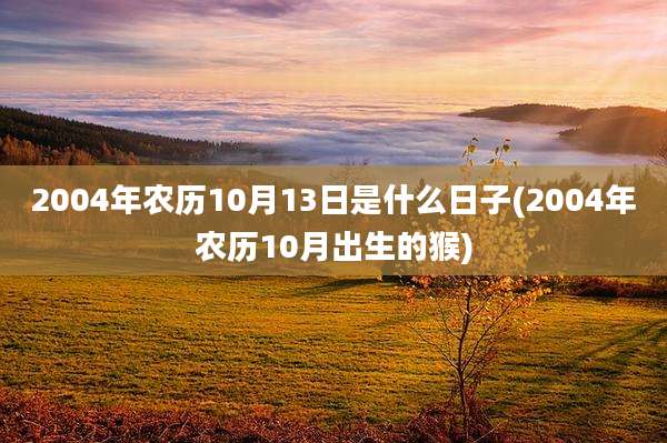 2004年农历10月13日是什么日子(2004年农历10月出生的猴)