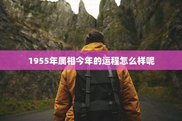 1955年属相今年的运程怎么样呢