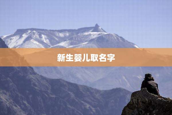 新生婴儿取名字