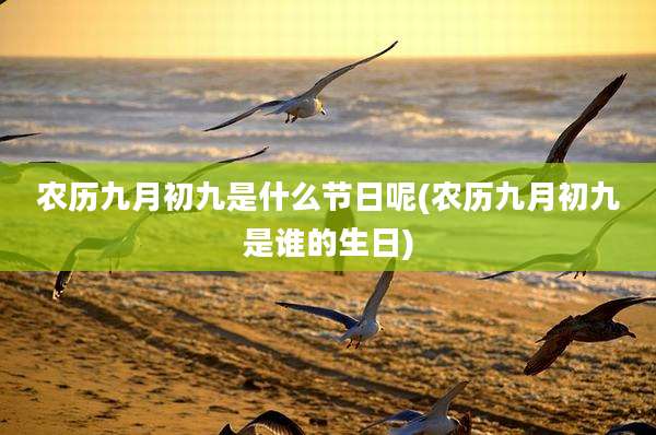 农历九月初九是什么节日呢(农历九月初九是谁的生日)