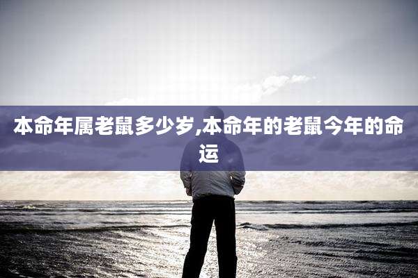 本命年属老鼠多少岁,本命年的老鼠今年的命运