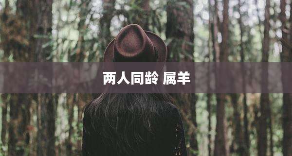 两人同龄 属羊