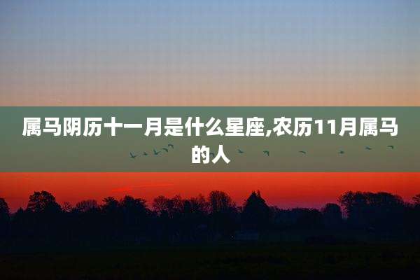 属马阴历十一月是什么星座,农历11月属马的人