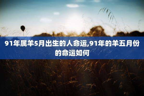 91年属羊5月出生的人命运,91年的羊五月份的命运如何