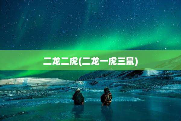 二龙二虎(二龙一虎三鼠)